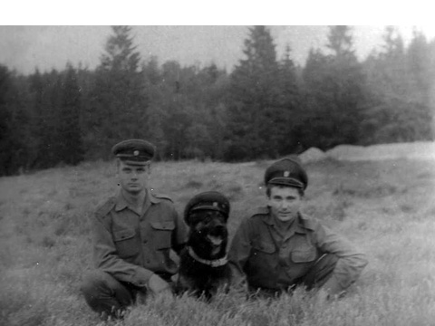 Foto 12